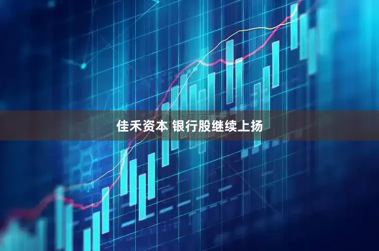 佳禾资本 银行股继续上扬